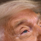 Image for article titled Trumpworld Sad